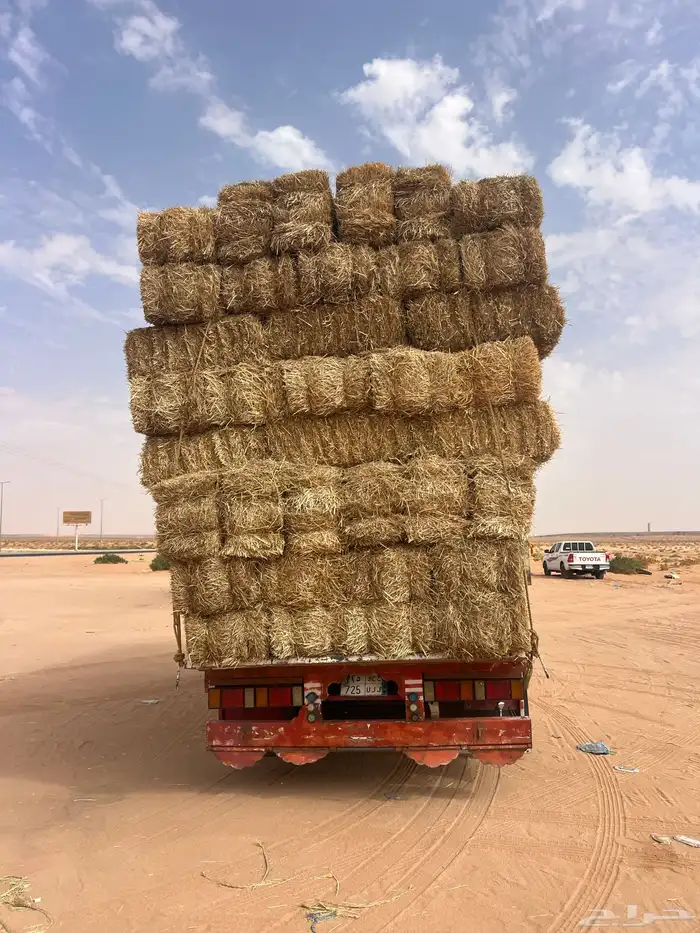 تبن بر حولي 2