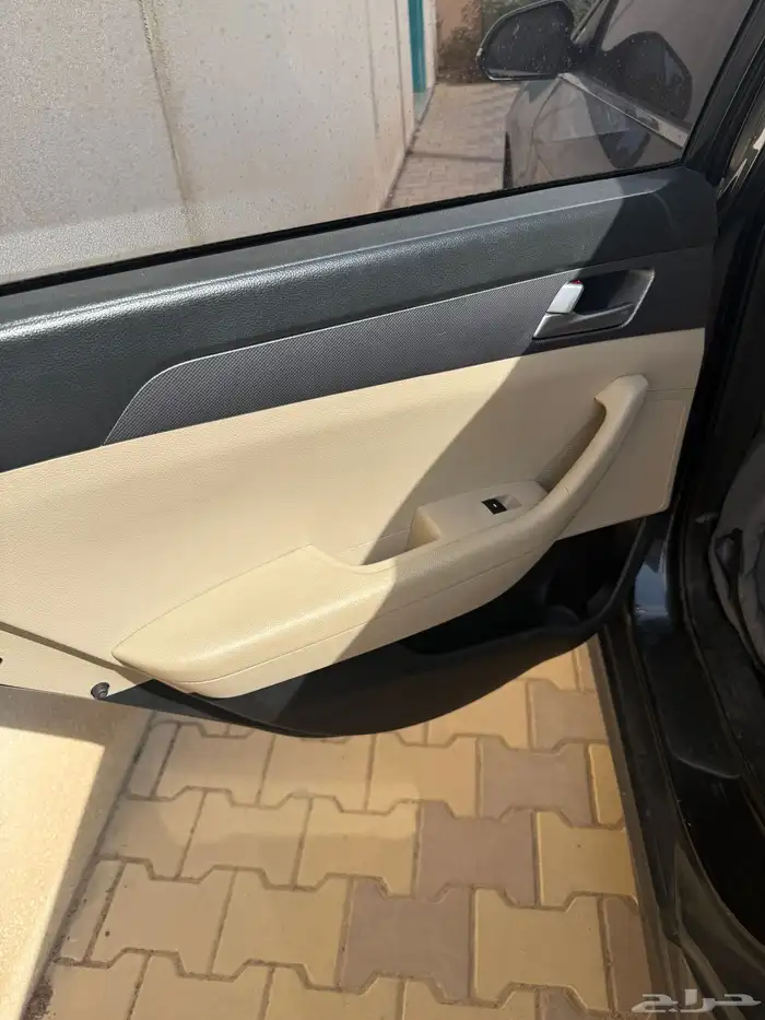 سوناتا 2018 10