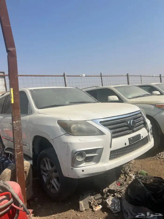 الحائر الان مندوب 0