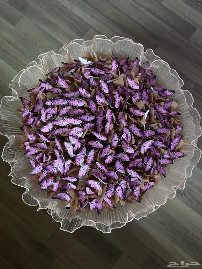 باقة فراشات 5