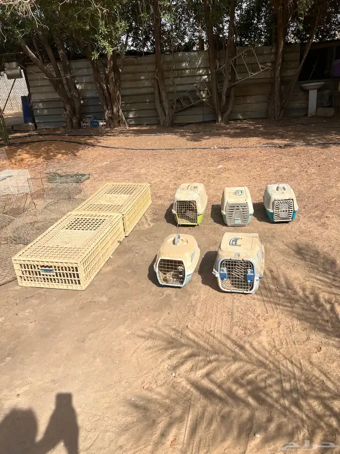 اقفاص وشبوك طيور العفجه الخرج 0