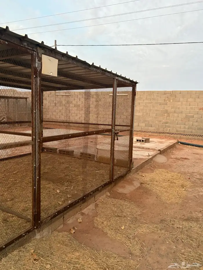 عشة حمام 6 3 0