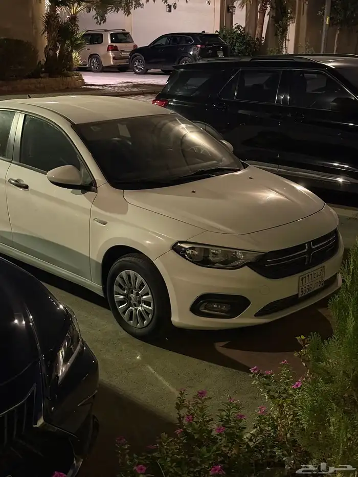 دودج نيون 2018 ( مالك اول - استخدام شخصي - سيارة اقتصادية ) 1