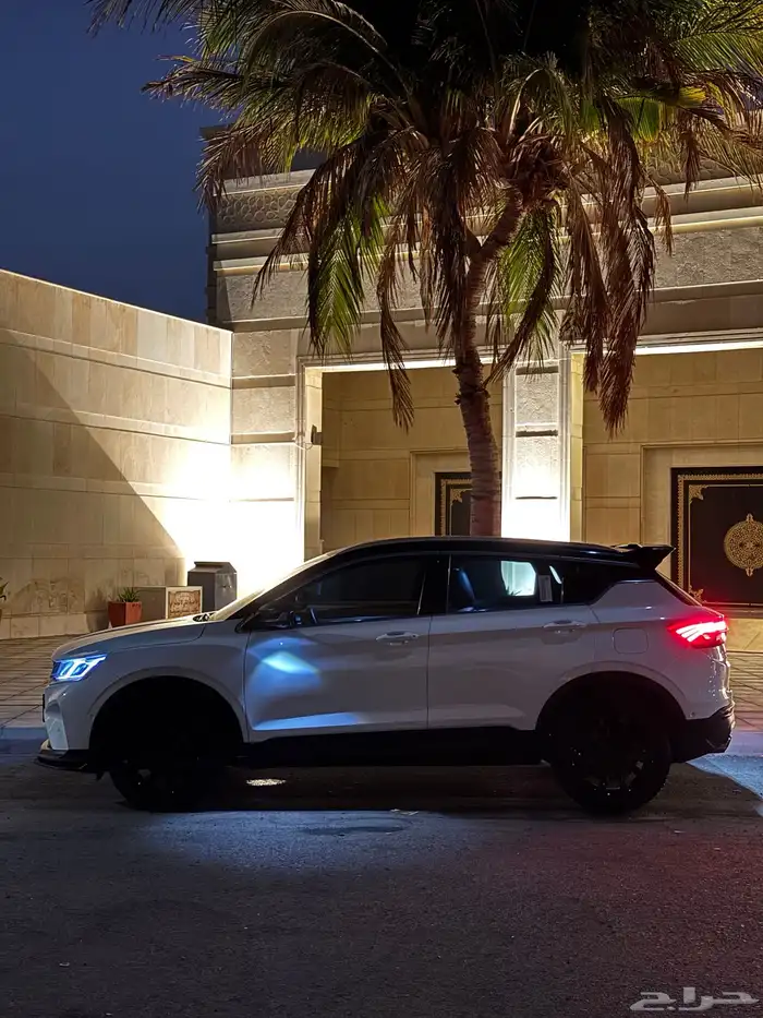 جيلي كولراي 2022 0