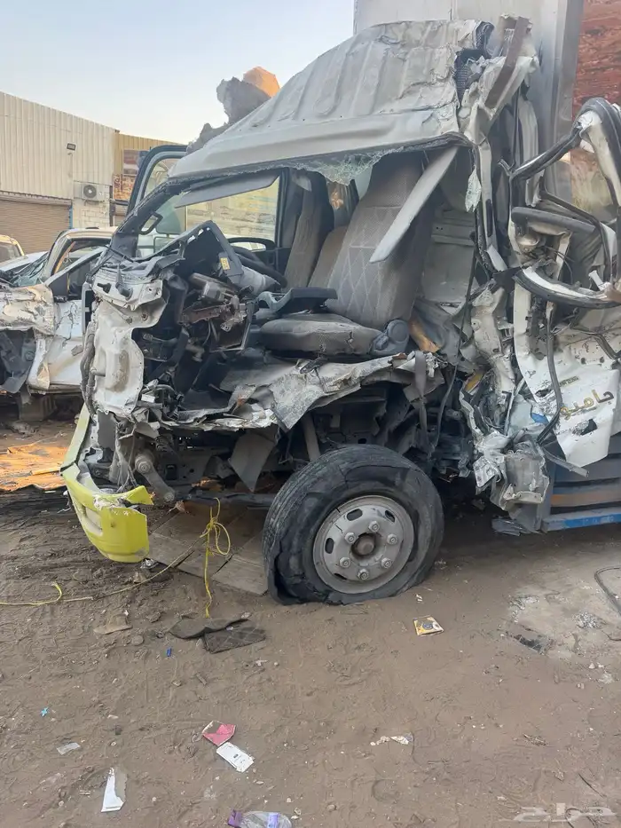 دينا ايسوزو 2020 مصدوم للبيع 3