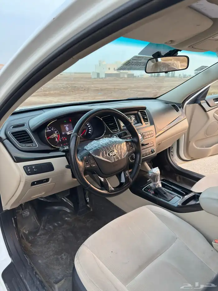 كادينزا 2015 7