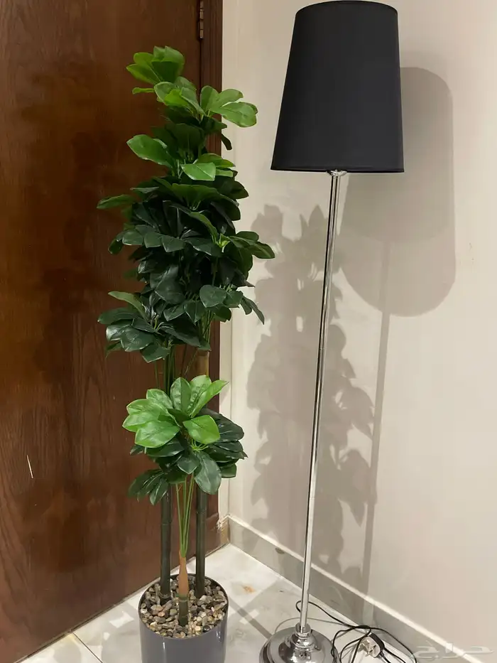 نبات صناعي وأبجوره كريمية 0