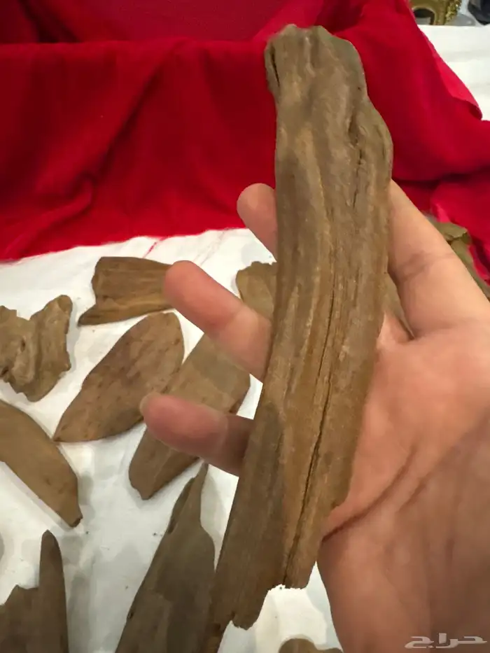 عود مروكي صفائح ثقيله طبيعي 100   100 8