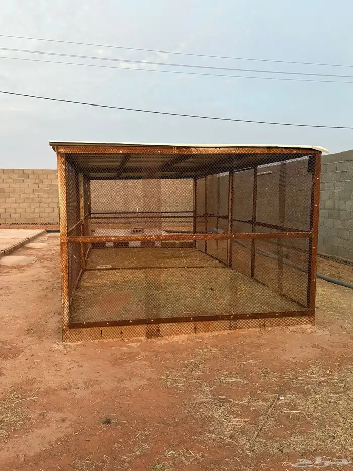 عشة حمام 6 3 4