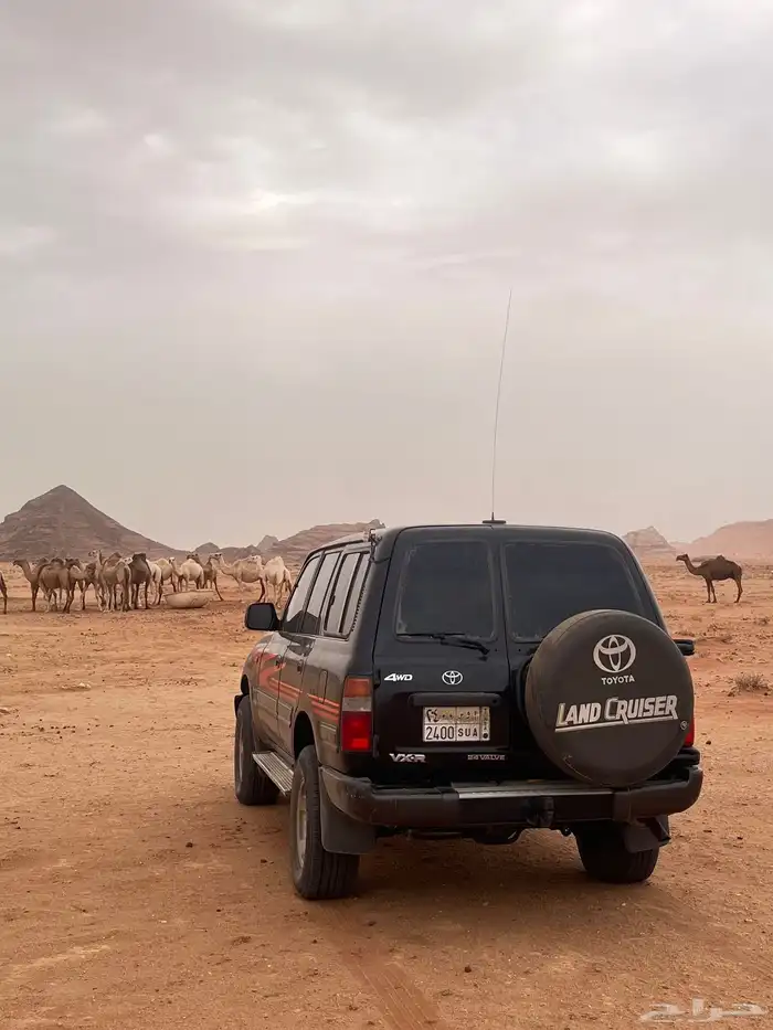 صالون 92 للبيع 6