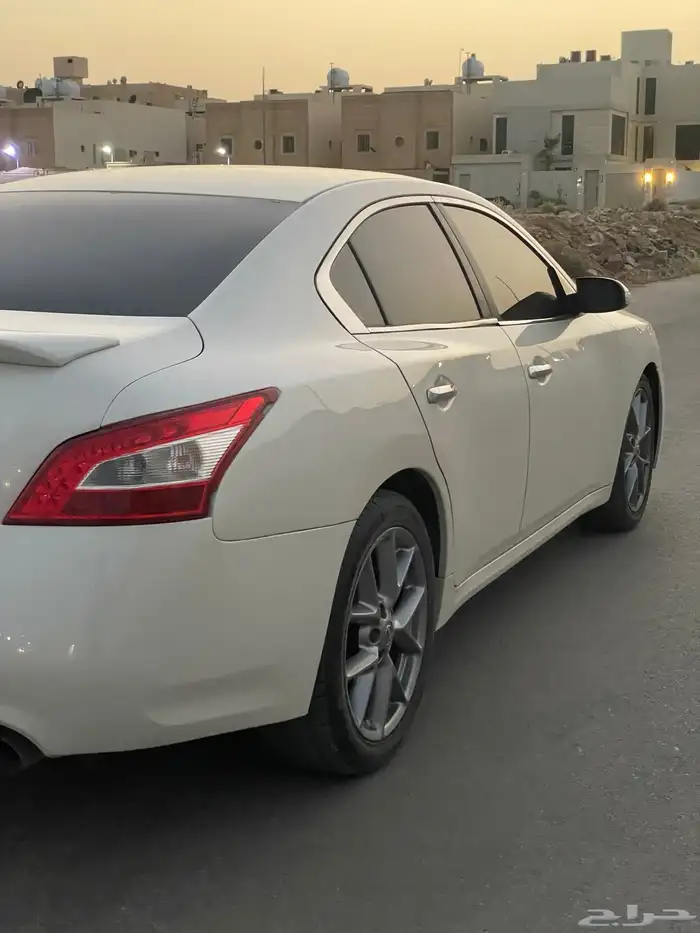 مكسيما سكر في مويه للبيع 5