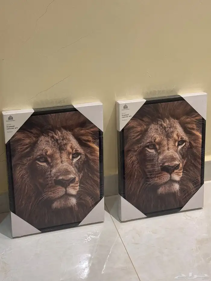 لوحات جديده 0