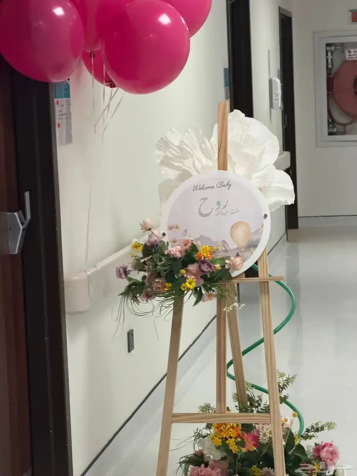 مدخل استقبال مواليد 0