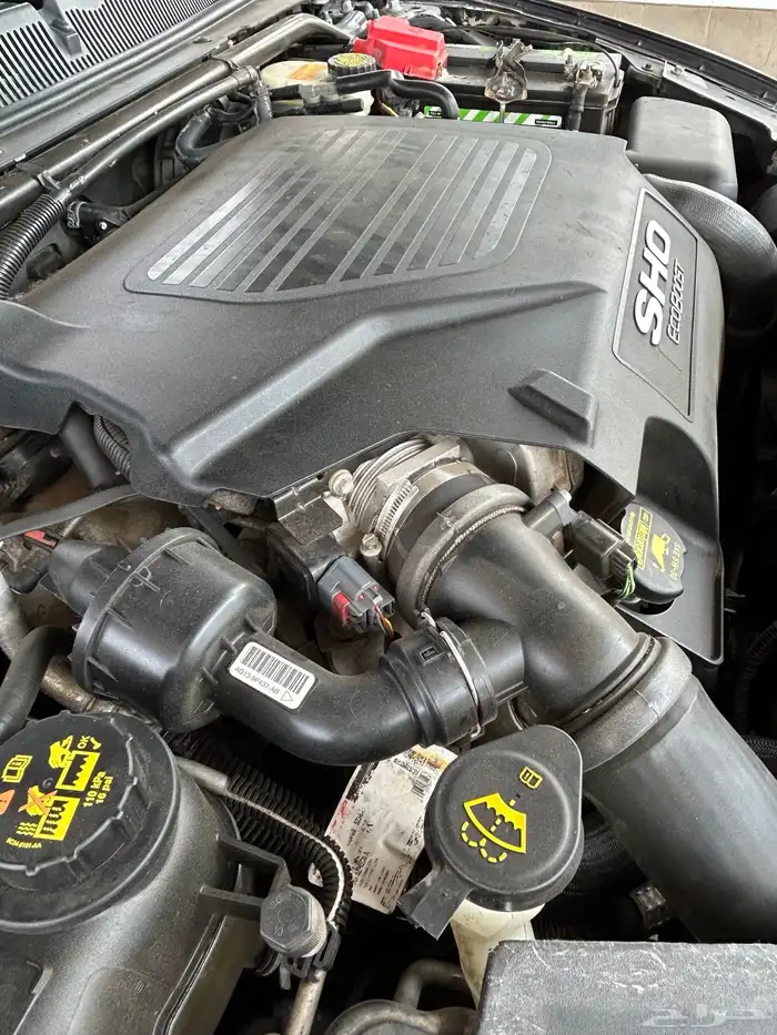 تورس SHO شد بلد 2013 10