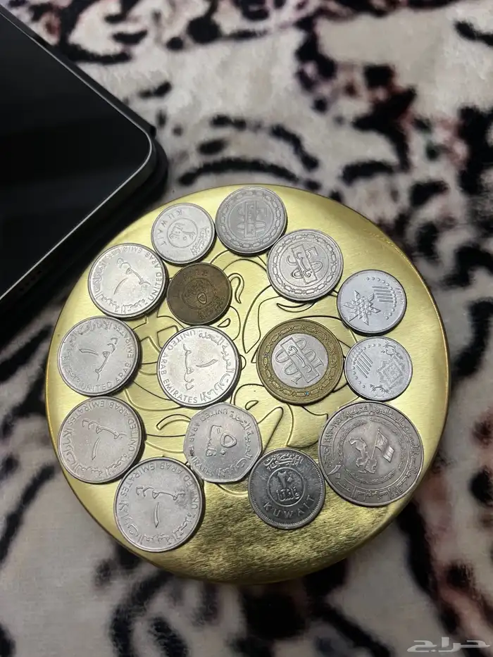 عملات دول مختلفة على السوم 3