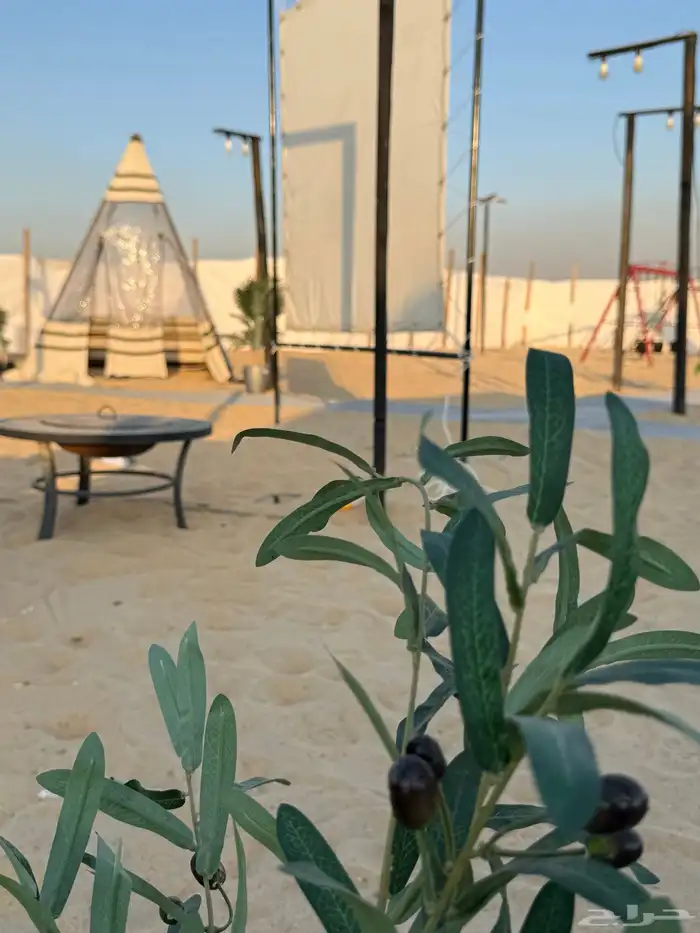 مخيم ارام للإيجار اليومي VIP ومرتب وتصميم روعه 47