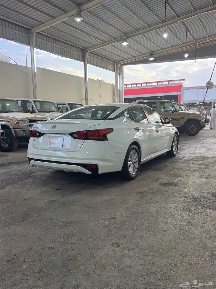 التيماء ستاندر 4