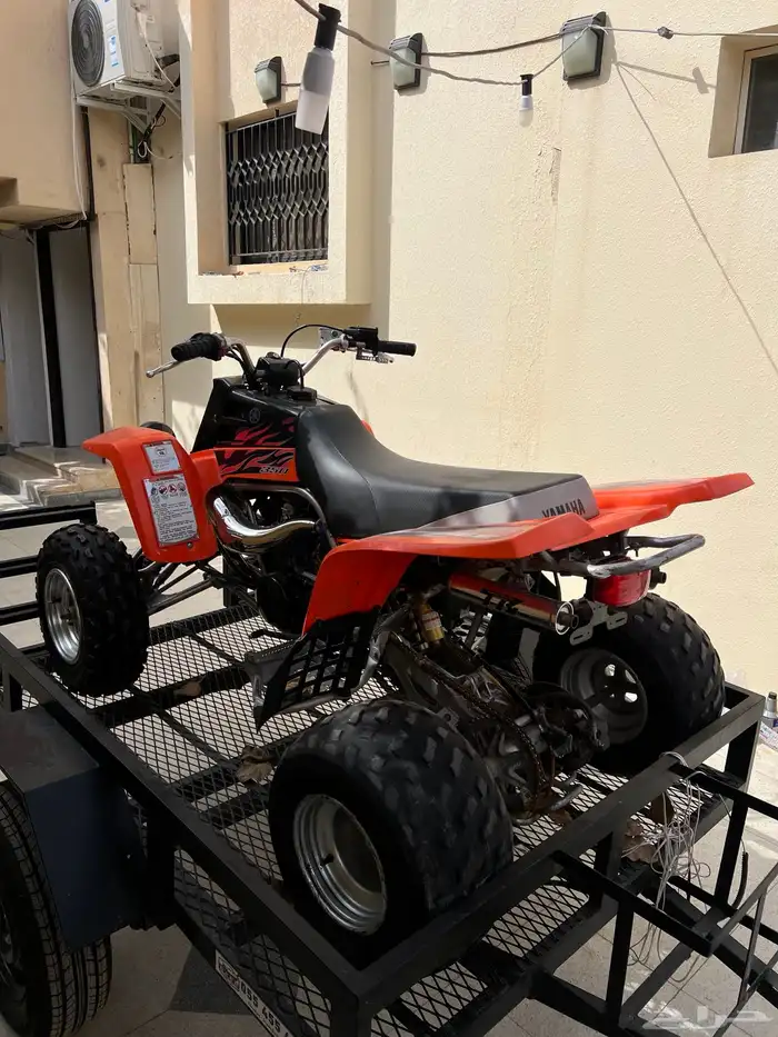 بانشي ياماها قمة بالنظافة 15