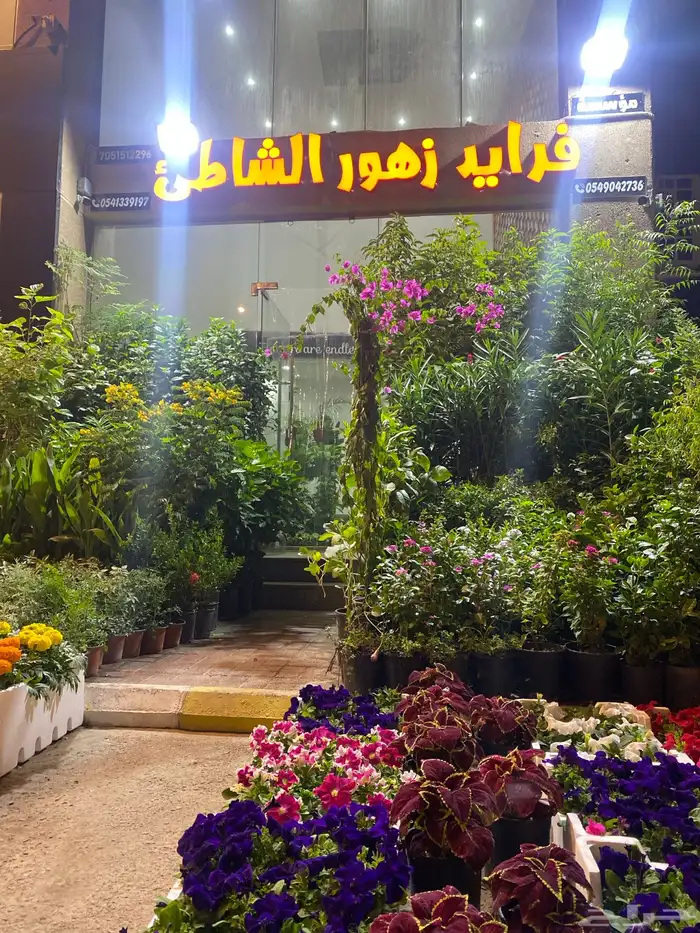 مشتل فرايد زهور الشاطي للزراعه الورود والزهور والاشجار 3
