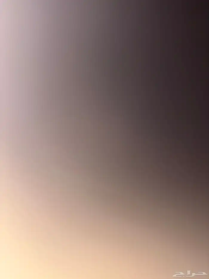 محتاج قطو أنثى بس تكون من 6 شهور وتحت غير البلدي 0