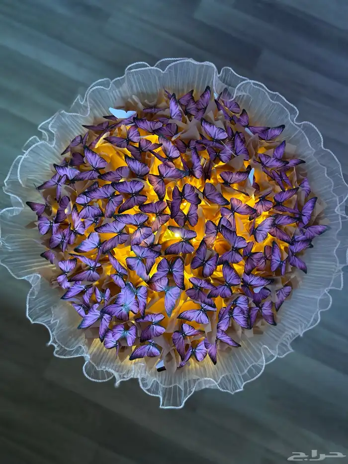 باقة فراشات 1