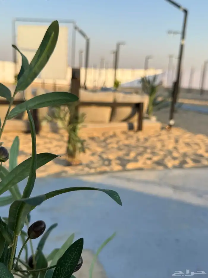 مخيم ارام للإيجار اليومي VIP ومرتب وتصميم روعه 10