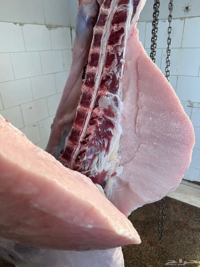 حاشي لباني مشروط والحم مضمون ف الصحن والطعم تحدي 0