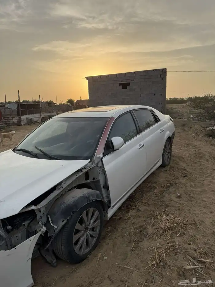 افالون تشليخ 1