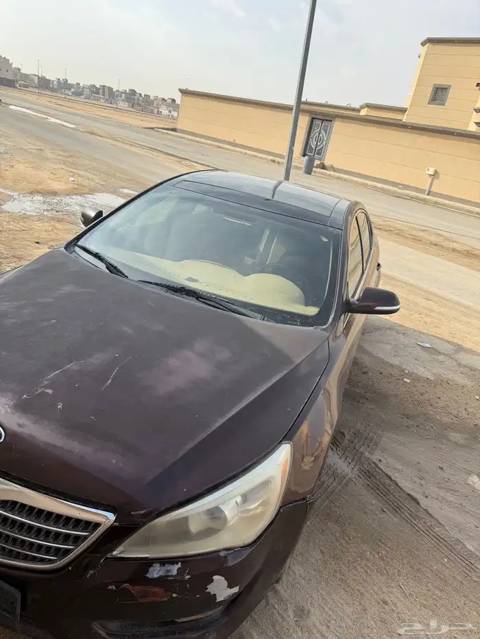 كادينزا 2012 1