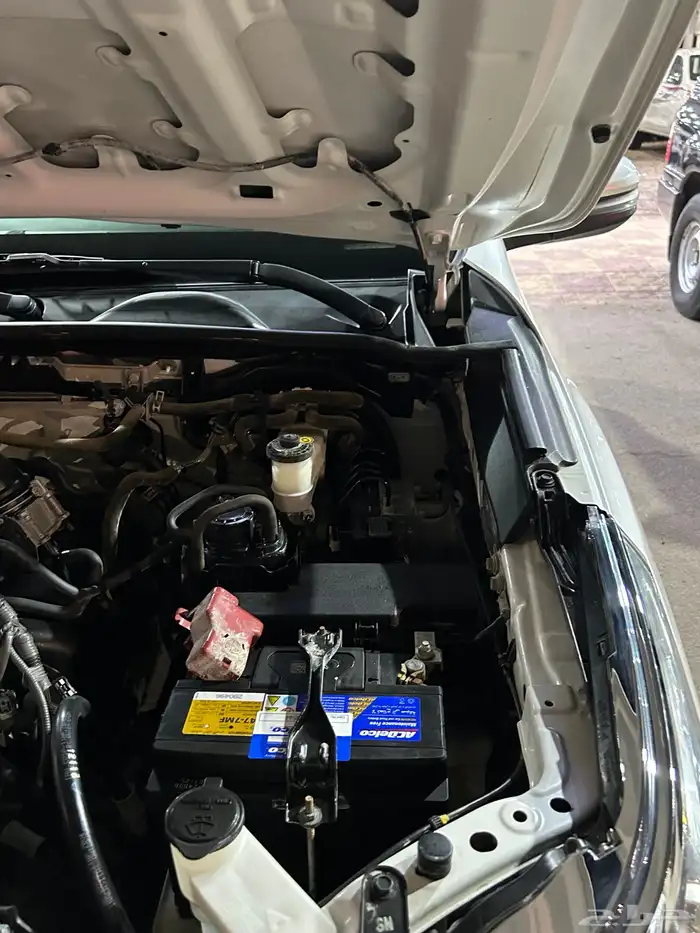 فور شنر 2019 دبل 17