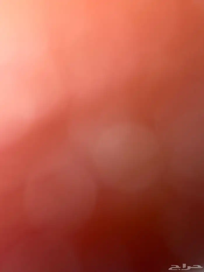 مطلوب في الدمام ا ر ض بسعر مناسب 0