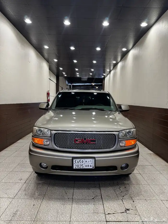 جمس دينالي 2003 10