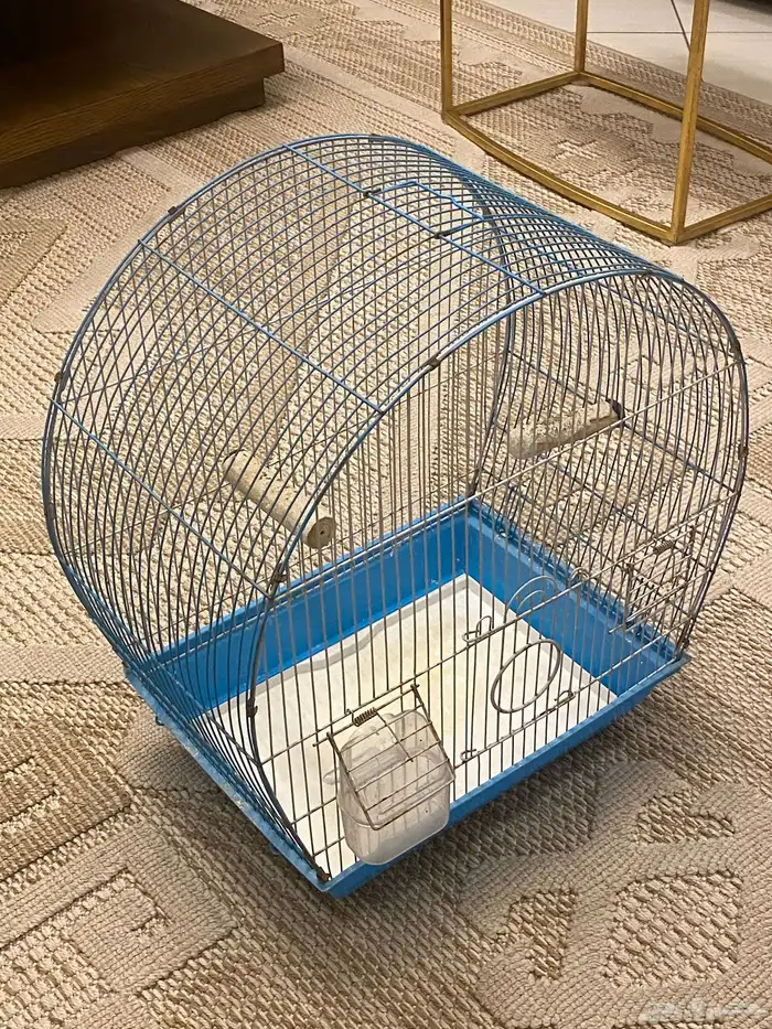 اقفاص عددهم ثلاثه البيع الحبه او كلهم 200 ريال 1