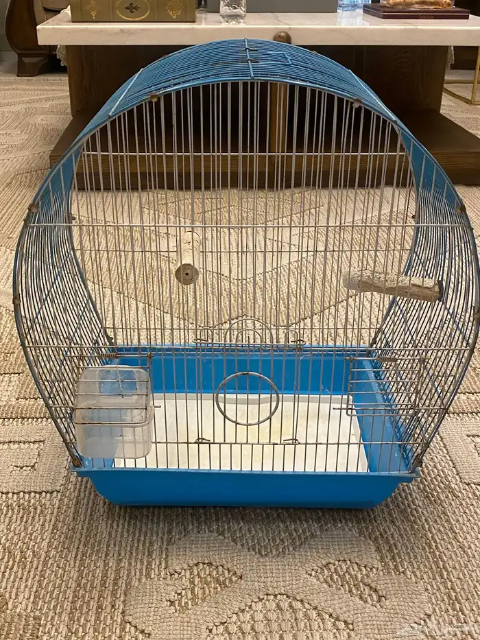 اقفاص عددهم ثلاثه البيع الحبه او كلهم 200 ريال 0