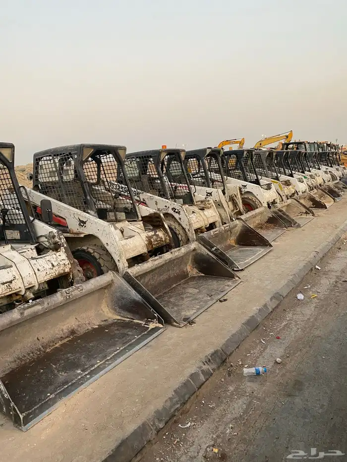 بوبكات بوبكاتات حواس شيول جراف صغير 5