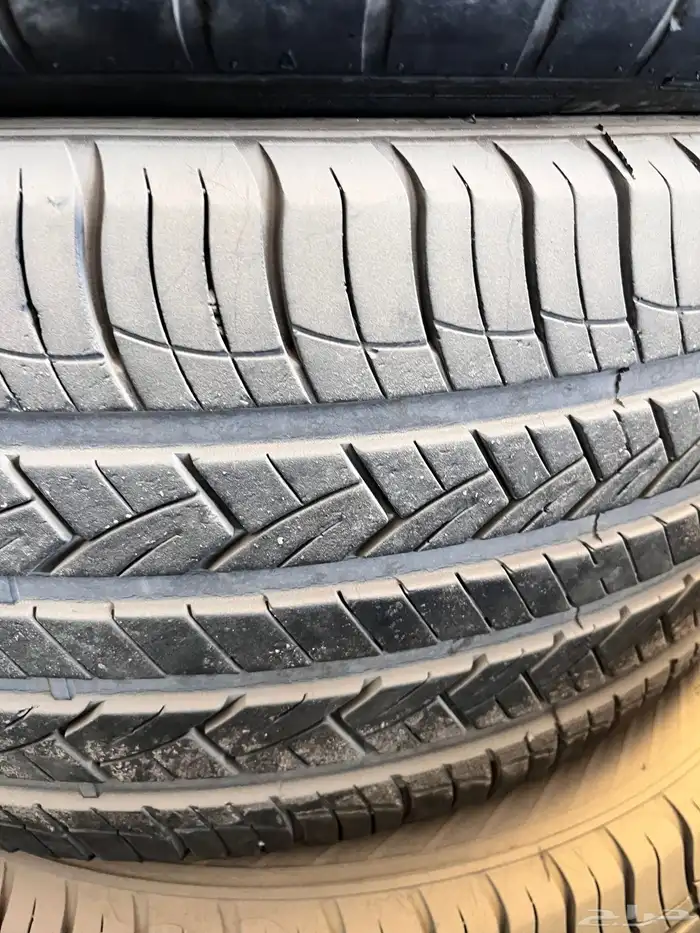 جنوط تورنق 1