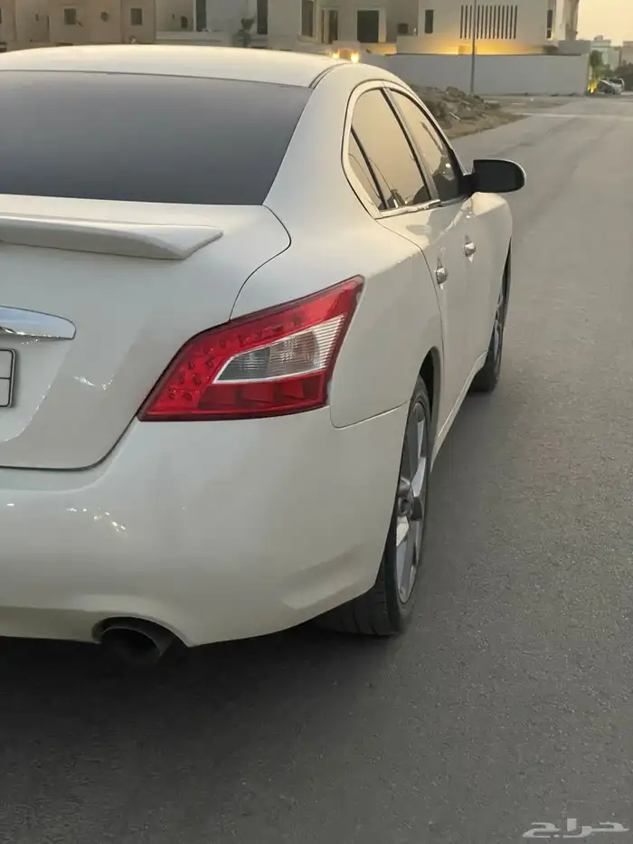 مكسيما سكر في مويه للبيع 8