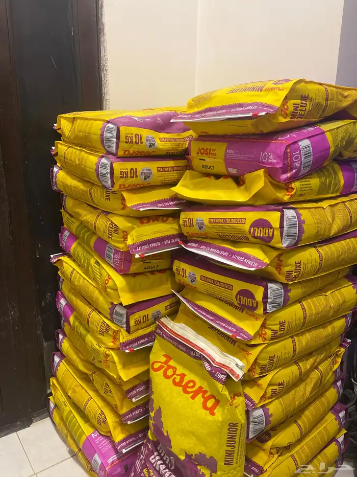 دراي فود اكل كلاب 0