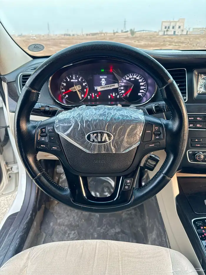 كادينزا 2015 8