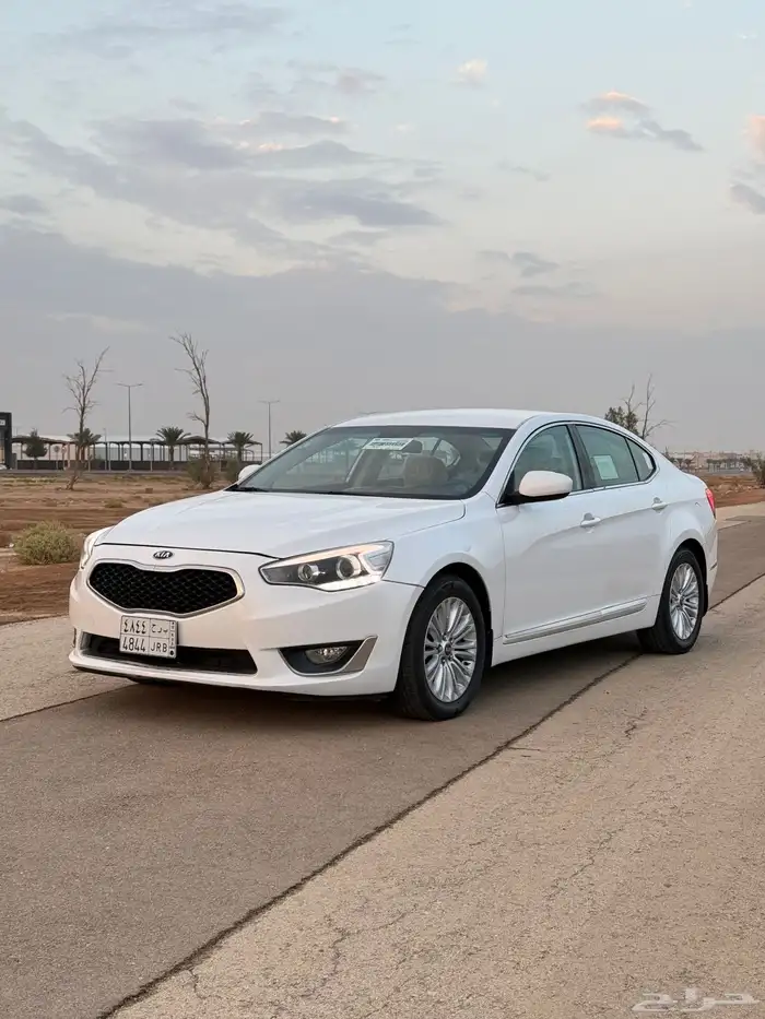 كادينزا 2015 0