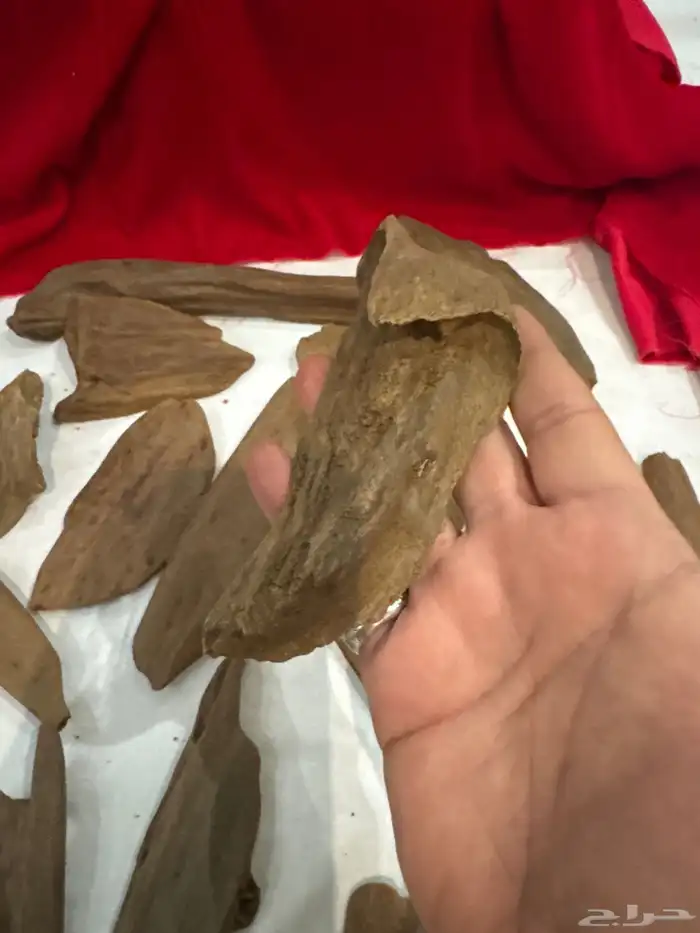 عود مروكي صفائح ثقيله طبيعي 100   100 6