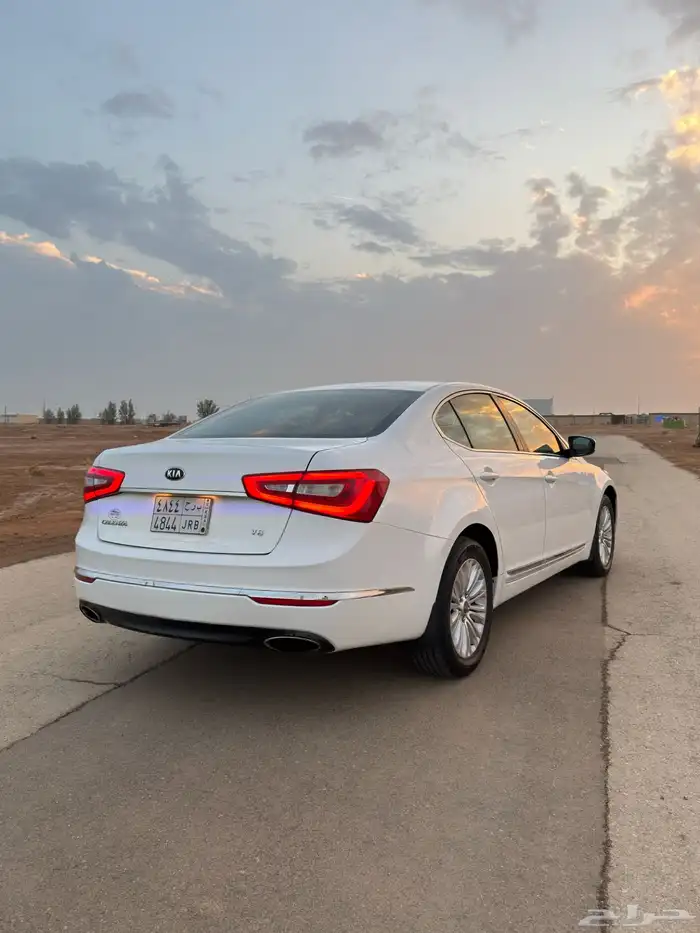 كادينزا 2015 3