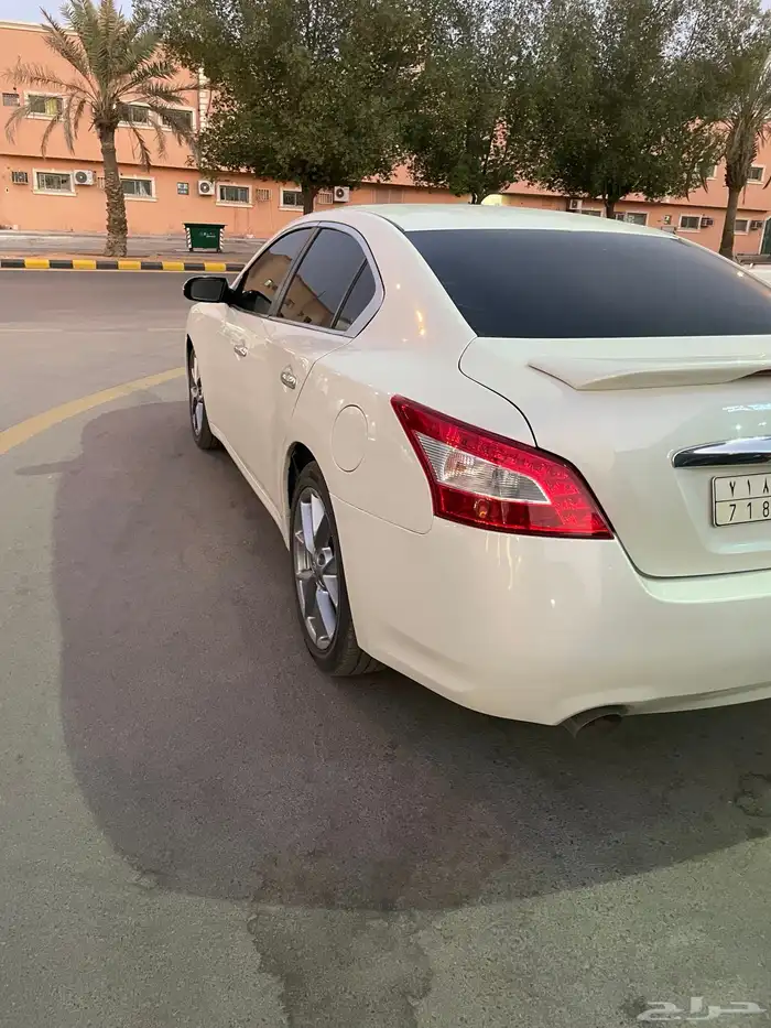 مكسيما سكر في مويه للبيع 0