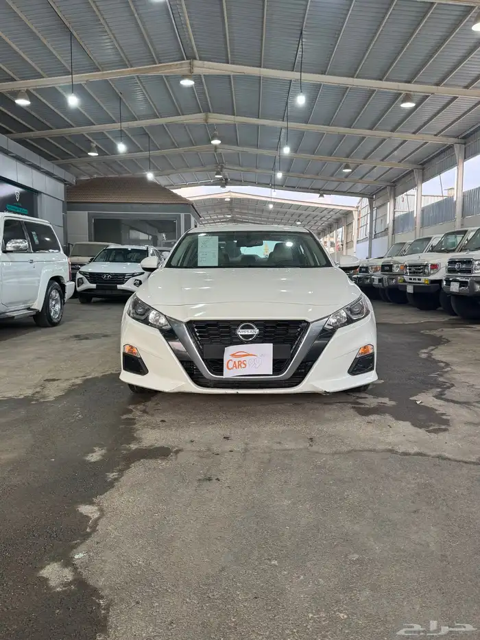 التيماء ستاندر 0