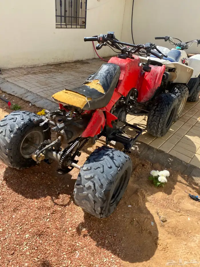 دباب سويدي نيثال 2