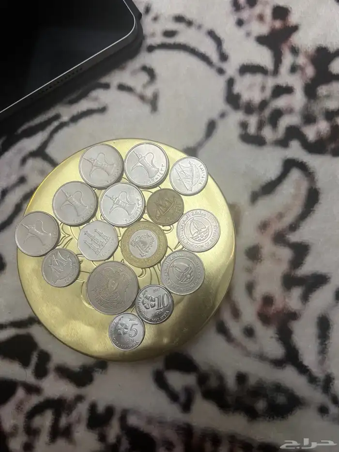 عملات دول مختلفة على السوم 2