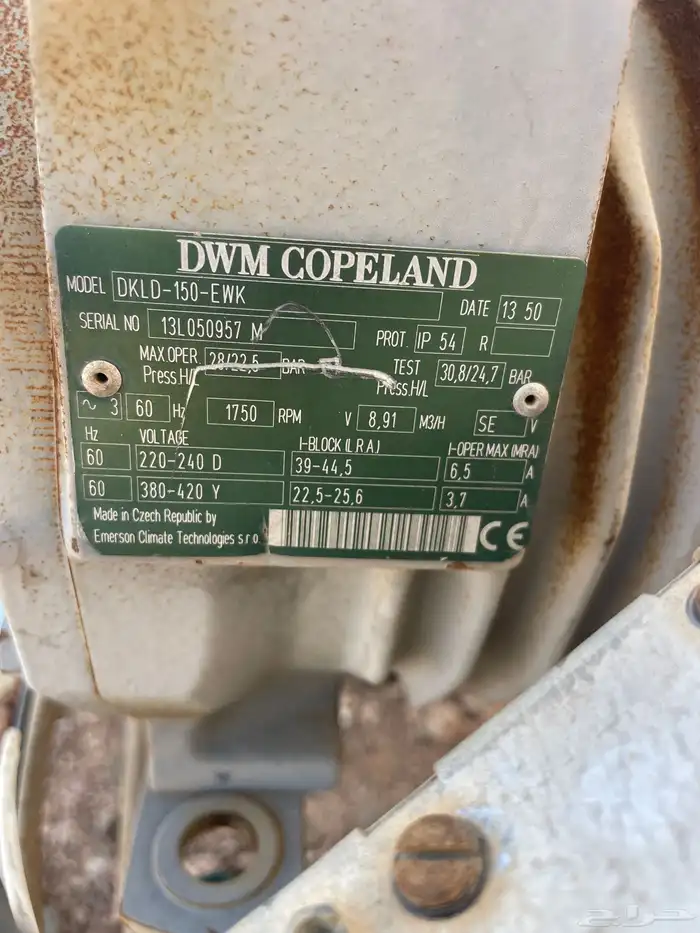 الطايف ام الدوم 4