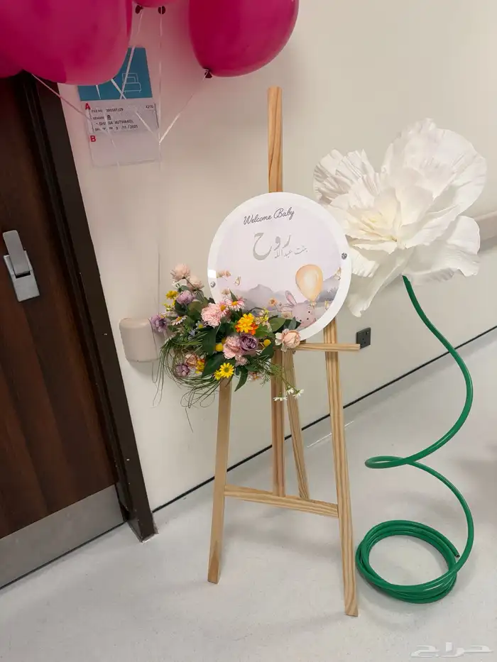 مدخل استقبال مواليد 1