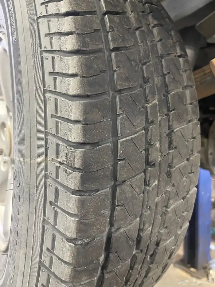 جنوط شروكي نجمة 3