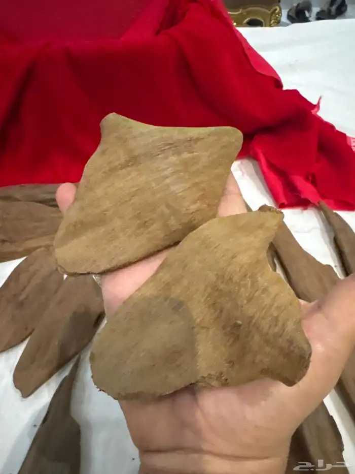 عود مروكي صفائح ثقيله طبيعي 100   100 4